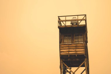 Turuncu sis göğe getiren dumanlı bir orman yangını sırasında muhafız Kulesi Manzanar Japon toplama kampında bağımsızlık California, yakın çekim
