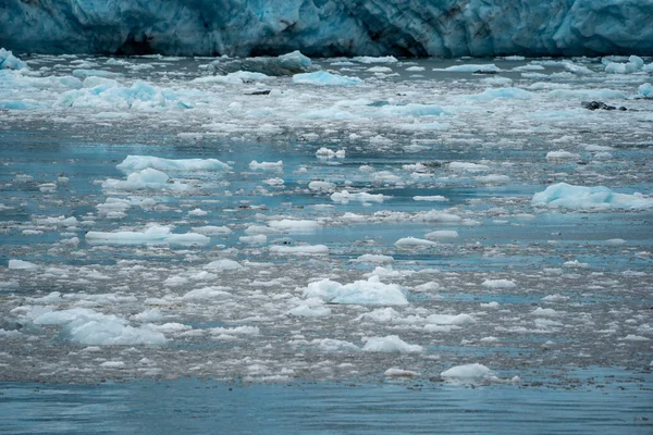Belos Icebergs Pedaços Gelo Flutuam Baía Aialik Perto — Fotografia de Stock