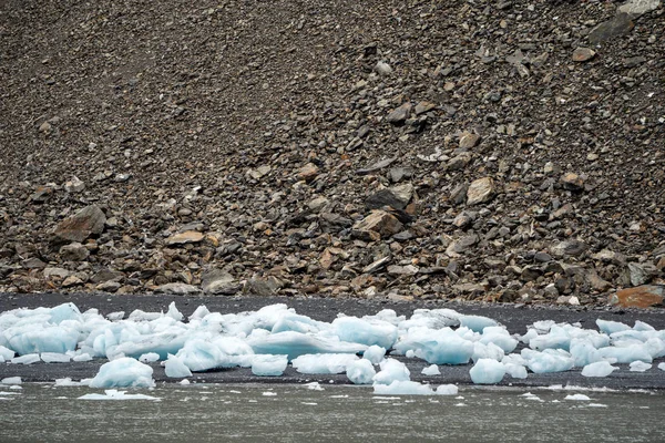Small Iceburgs Ice Chunks Sit Rocky Shoreline Kenai Fjords National — 스톡 사진