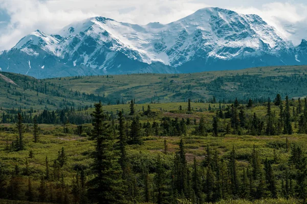 Hutan Boreal Yang Indah Sepanjang Richardson Highway Menunjukkan Pegunungan Delta — Stok Foto