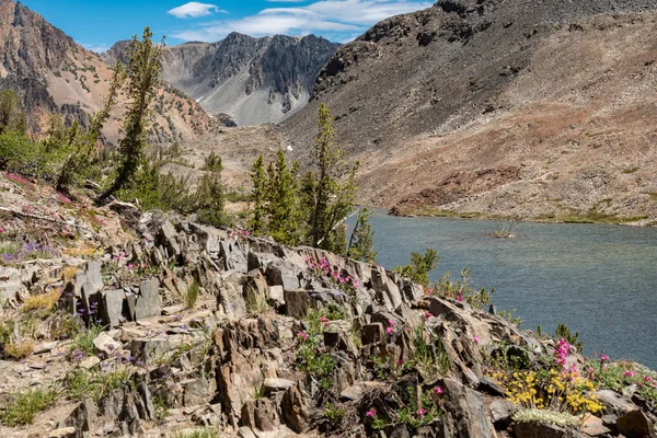 Pemandangan Indah Dari Lakes Basin Californias Sierra Nevada Timur Lembah — Stok Foto