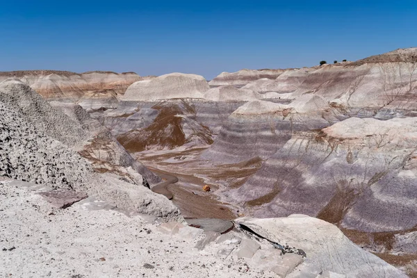 Blue Mesa Trail Arizona Petrified Forest National Park Painted Desert — Stock Photo, Image