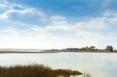 Güzel marsh sahne, Maryland'deki Assateague Adası Ulusal Deniz kıyısı boyunca bir bariyer ada Atlantik Okyanusu