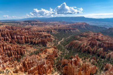 Hoodoos güneş ışığı altında Utah Bryce Canyon Milli Parkı