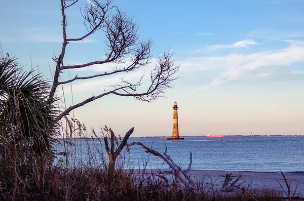 Morris Island Lighthouse Avstånd Inramade Kala Träden Vid Solnedgången Ligger — Stockfoto