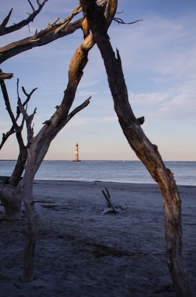 Morris Νησί Φάρος Απόσταση Πλαισιώνεται Από Γυμνά Δέντρα Στο Ηλιοβασίλεμα — Φωτογραφία Αρχείου
