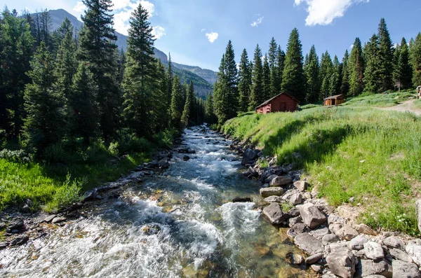 Žula Creek Létě Proudí Poblíž Jackson Hole Wyoming Teton National — Stock fotografie