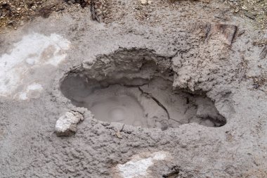 Kabarcıklanma çamur pot Yellowstone Milli Parkı'nda