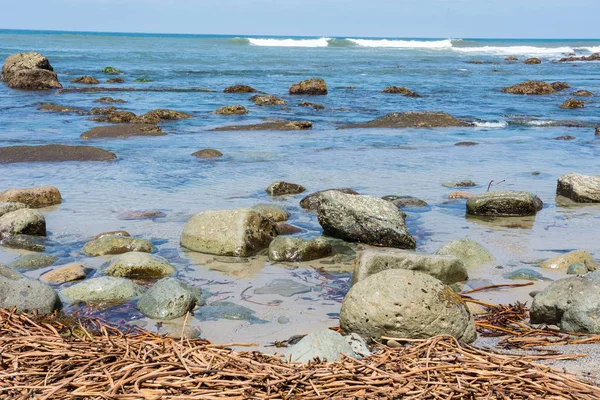 Point Cabrillo Tide Pools Seaweed Rocks San Diego Shores Pacific — Stock Photo, Image