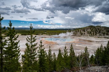 Grand Prismatic bahar Yellowstone Milli Parkı'nda peri Falls iz overlook görüldüğü gibi kaplıca'nın gökkuşağı renkleri gösterilen. Ağaçlar şofben çerçeve
