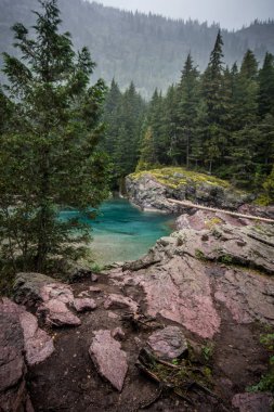 Akan Haystack Creek buzul Milli Parkı'nda bulutlu bir günde Montana'da. Çığ iz.