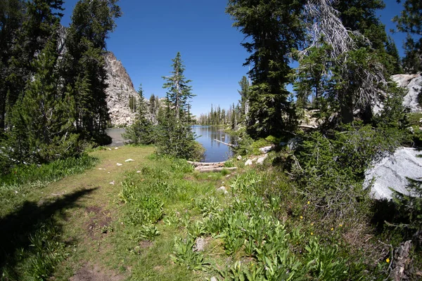 Fisheye view of a small pond with wildflowers in the Sawtooth Lake Trail in the Sawtooth National Forest of Idaho on a sunny day