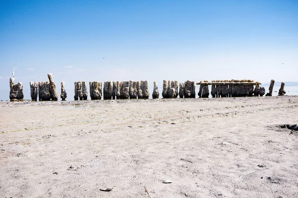 Εγκαταλελειμμένο Αποβάθρα Πυλώνες Καθίσει Στην Παραλία Στο Salton Θάλασσα Στην — Φωτογραφία Αρχείου