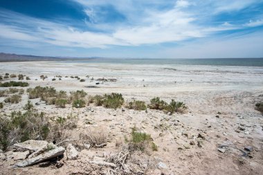 Bombay Beach California Imperial County Salton Denizi kıyısında terk enkaz sit