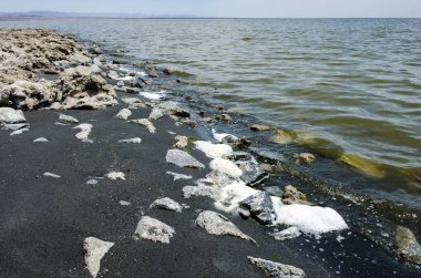 California Çölü'nde Salton Denizi kıyısında enkaz, siyah kum ve kaya yıkamak