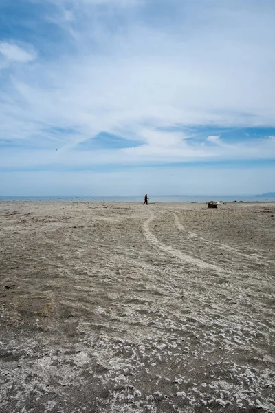 Yalnız Kadın Yalnız Salton Denizi Bombay Beach California Sahilde Yürüyor — Stok fotoğraf