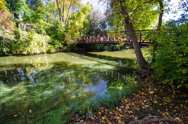 晴れた秋の日にメープル グローブ樹木園で小さな入り江を見下ろす橋 — ストック写真