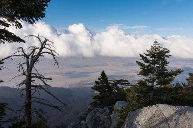 --Dan belgili tanımlık palmiye Coachella Valley görünümünü hava tramvay yaylar