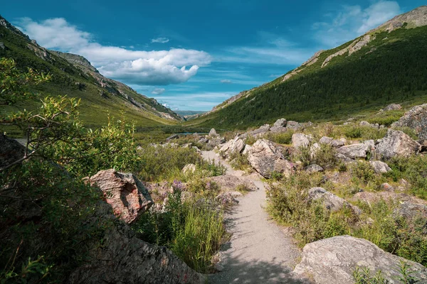 Hiking trail in Denali National Park to the Savage River in Alaska. Sunny day