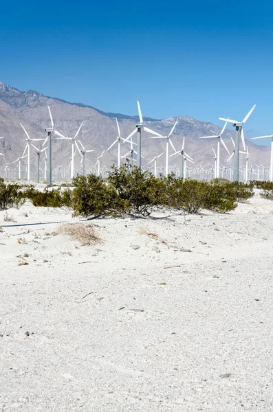 Rüzgar Çiftliği türbinleri oluşturmak Palm Springs, Kaliforniya, yakınındaki güç Riverside County.