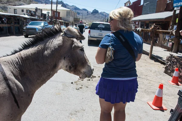 Maj 2018 Oatman Arizona Kvinna Turist Matar Vilda Burro Gatorna — Stockfoto