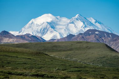 Denali Milli Parkı Dağı üzerinde mavi gökyüzü açık yaz günü tam görünümünde.