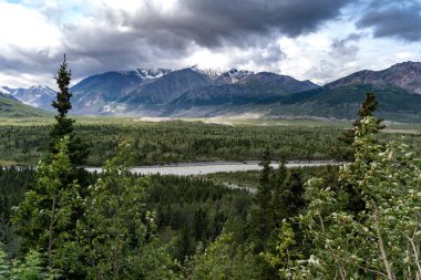 Alaska Yaz aylarında Richardson yolu boyunca Delta dağlar. ön planda Boreal orman