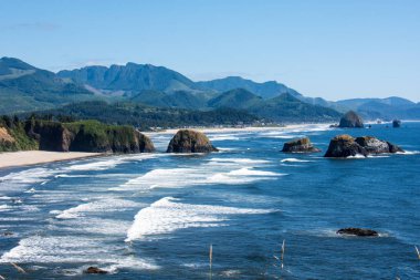 Ecola State Park Oregon gün güneşli yaz