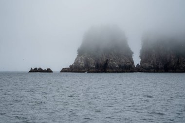 Büyük deniz yığınları Kenai Fjords Milli Parkı'nda sis diriliş Bay bir sürü