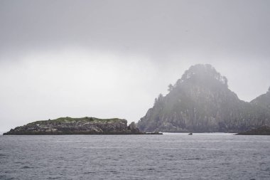 Engebeli kıyı şeridi boyunca Kenai Fjords Milli Parkı, çok sisli bir günde