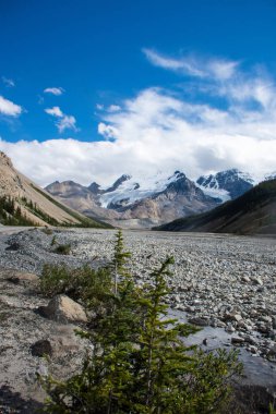 Rocky river tundra Kanada Rocky Dağları, Jasper Milli Parkı Icefields Parkway boyunca
