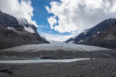 Athabasca buzul boyunca Icefields Parkway Kanada Rocky Dağları, Banff Ulusal Parkı
