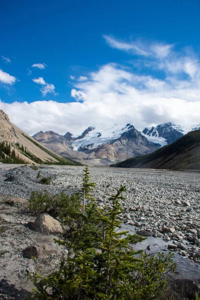 Rocky River Τούνδρα Κατά Μήκος Parkway Icefields Στον Καναδικό Βραχώδη — Φωτογραφία Αρχείου