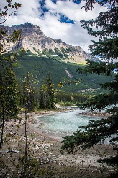 Athabasca Falls Nelle Montagne Rocciose Canadesi Lungo Panoramica Icefields Parkway — Foto Stock