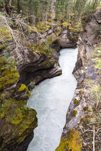 Athabasca Esik Kanadai Sziklás Hegység Mentén Festői Jégmezők Parkway Banff — Stock Fotó