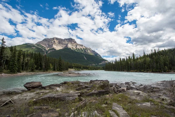 Athabasca Falls Canadese Rockies Langs Schilderachtige Icefields Parkway Tussen Het — Stockfoto