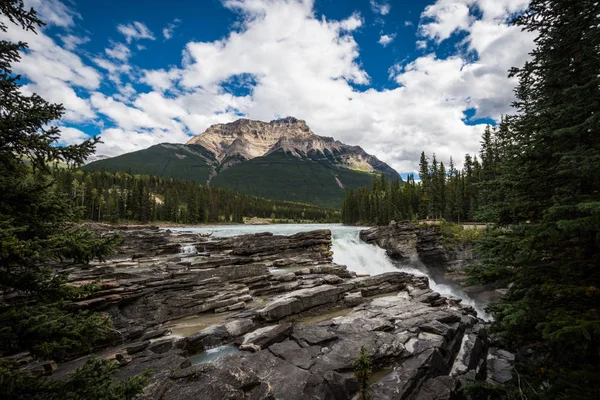 Athabasca Falls Canadese Rockies Langs Schilderachtige Icefields Parkway Tussen Het — Stockfoto