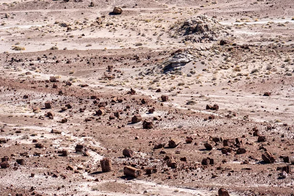 Vista Del Vasto Desierto Árido Seco Del Parque Nacional Bosque —  Fotos de Stock