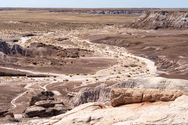 Krásné Letní Pouštní Krajina Pohled Mesas Petrified Forest National Park — Stock fotografie