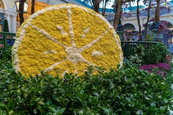 Las Vegas Nevada Juli 2018 Sommar Blomma Säsong Bellagio Hotel — Stockfoto