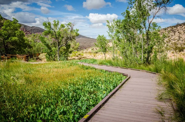 Calico Havzasında Red Rock Canyon Ulusal Koruma Alanı Boyunca Boardwalks — Stok fotoğraf