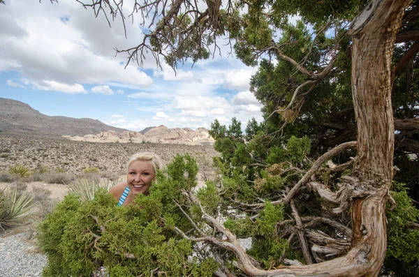 Legrační Goofy Blond Žena Skrývá Křoví Jalovce Red Rock Canyon — Stock fotografie