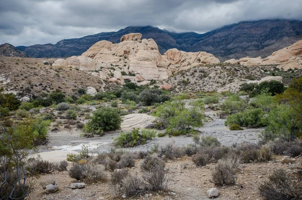 Felsige Wüstenlandschaft Einem Stürmischen Bewölkten Sommertag Der Monsunzeit Naturschutzgebiet Nevada — Stockfoto