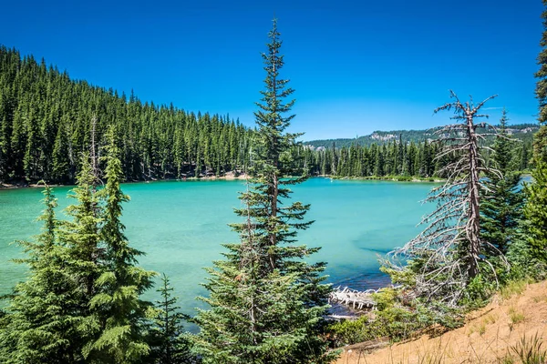 Art arda sıralı göller gölde Sparks görünümünü Bend Oregon Deschutes İlçesi doğal dolaşık yol. Buzul çökeller doğal çamurcun yeşil mavi renkten göl vardır 