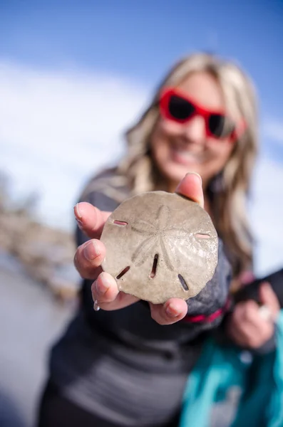 Adult Female Beachcombs Finds Sand Dollar Tide Coast South Carolina — Stock Photo, Image