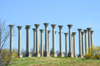 Ulusal Arboretum mavi gökyüzü karşı Washington DC'deki Capitol sütunlarda