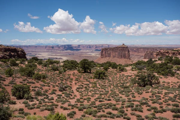 Canyonlands Nationalpark Öarna Enheten Sky Solig Dag — Stockfoto