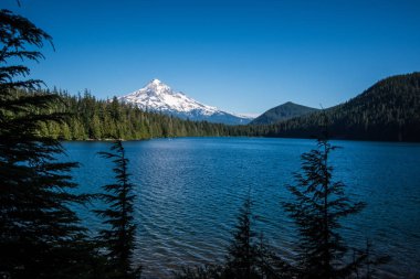 Beautiful view of Mt. Hood from Lost Lake Oregon on a sunny day clipart