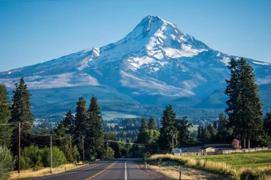 Yolun üzerinden Mt. Hood meyve döngü içinde belgili tanımlık geçmiş Oregon başgösteren Mt. Hood Dağı