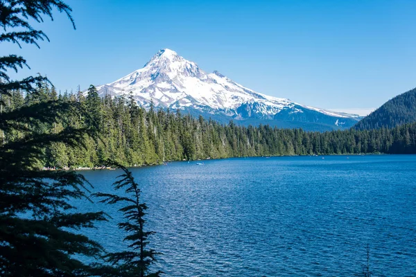 Krásný Pohled Hood Lost Lake Oregon Slunečného Dne — Stock fotografie